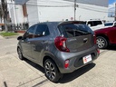 KIA PICANTO ZENITH 1.250CC 2024 MEC
