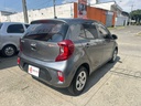 KIA PICANTO VIBRANT 1.250CC 2023 MEC